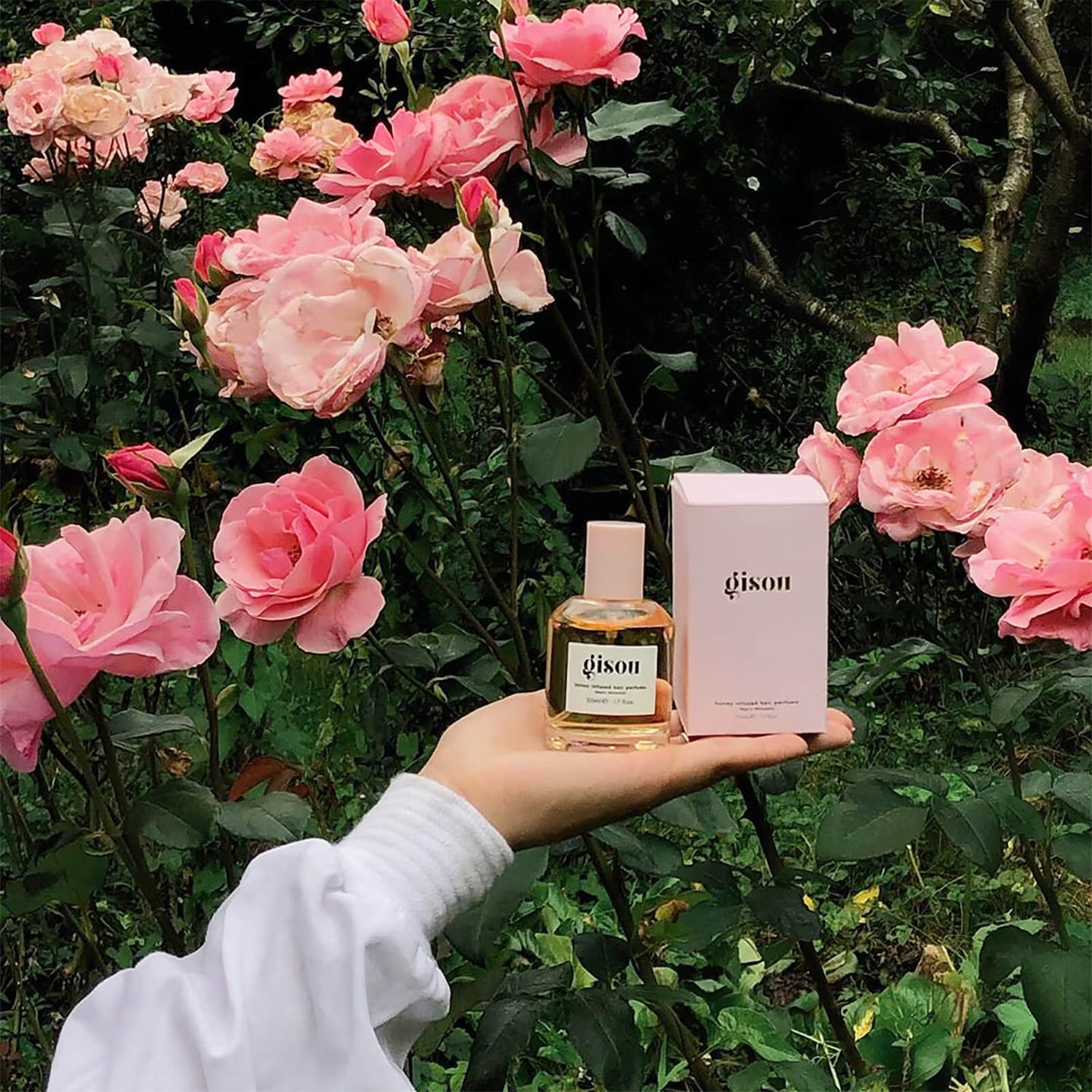 13526905-7984927756302078