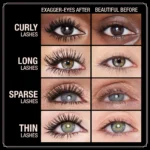 images – 2026-01-16T220052.488