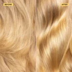 images – 2026-02-20T210701.463